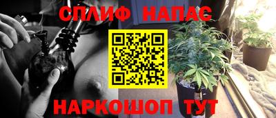 гидра Бузулук