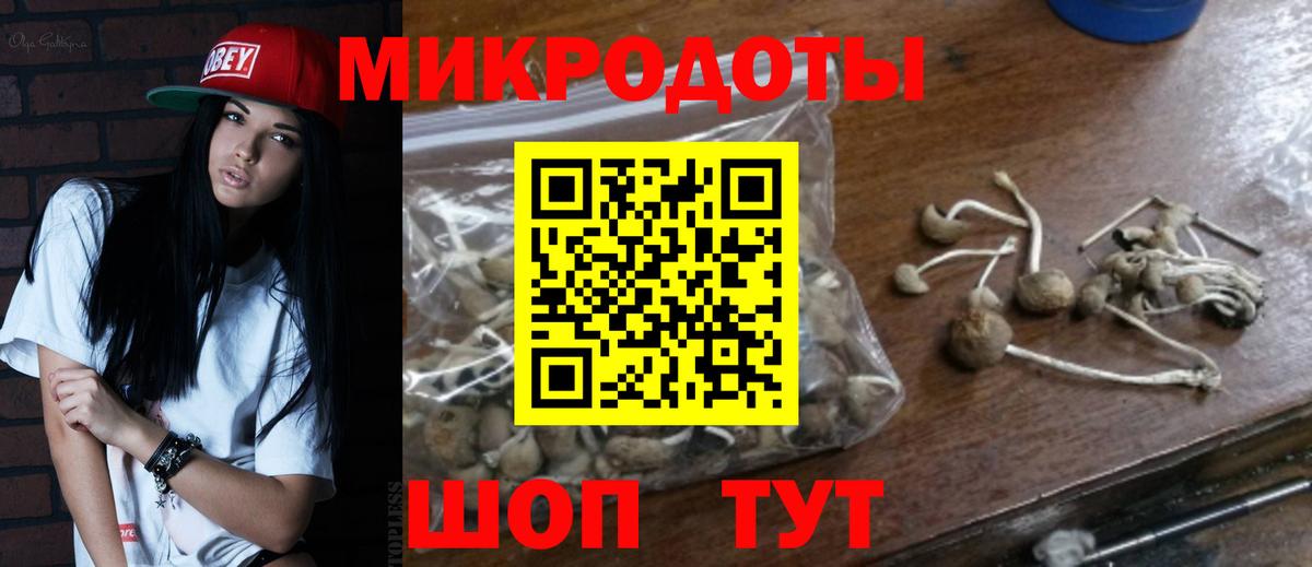 Псилоцибиновые грибы MAGIC MUSHROOMS Томск