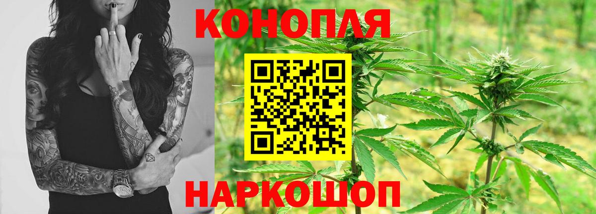 Томск  Бошки марихуана SATIVA & INDICA  Вход с VPN  Конопля гибрид  Бошки марихуана VHQ  МАРИХУАНА конопля 